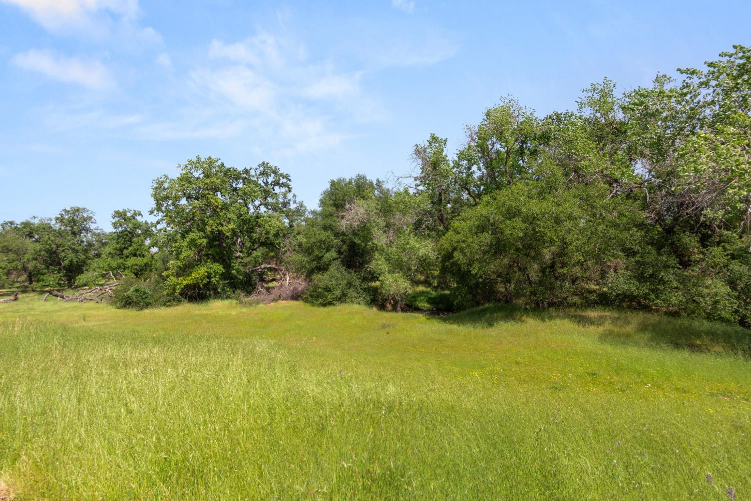 Detail Gallery Image 46 of 55 For 1736 Stone House Ln, Lincoln,  CA 95648 - 2 Beds | 2 Baths