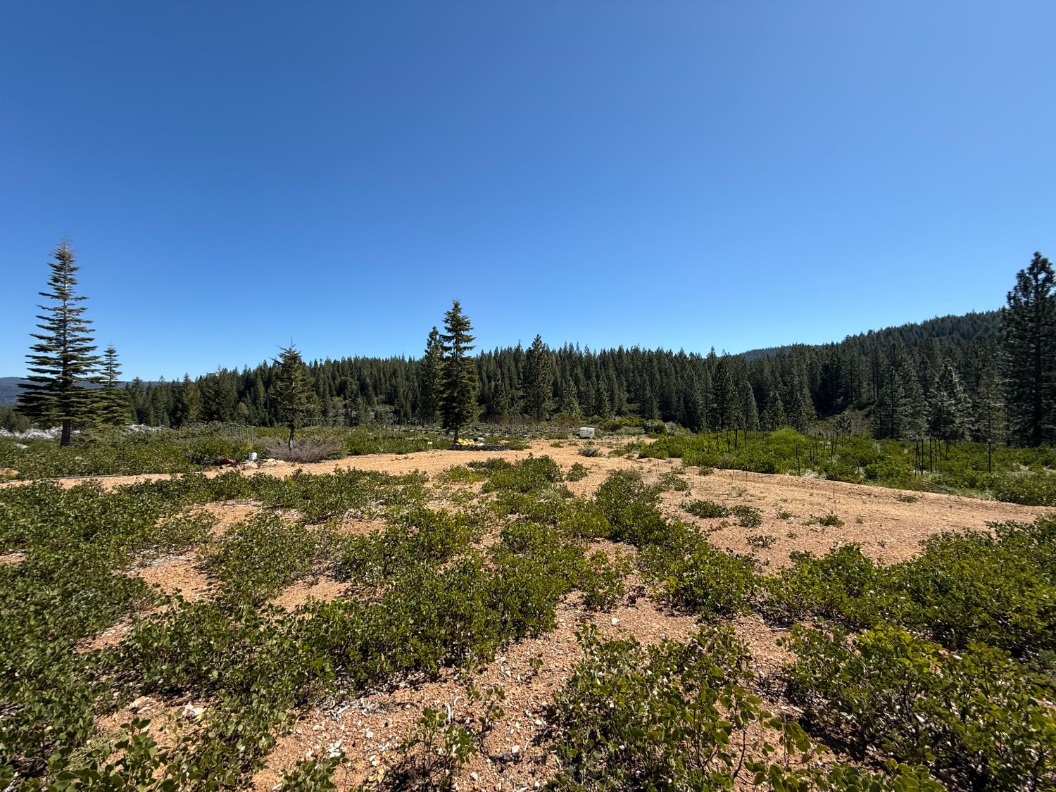Detail Gallery Image 16 of 35 For 0 Ancho Mine Rd (Lot-1), Nevada City,  CA 95959 - – Beds | – Baths