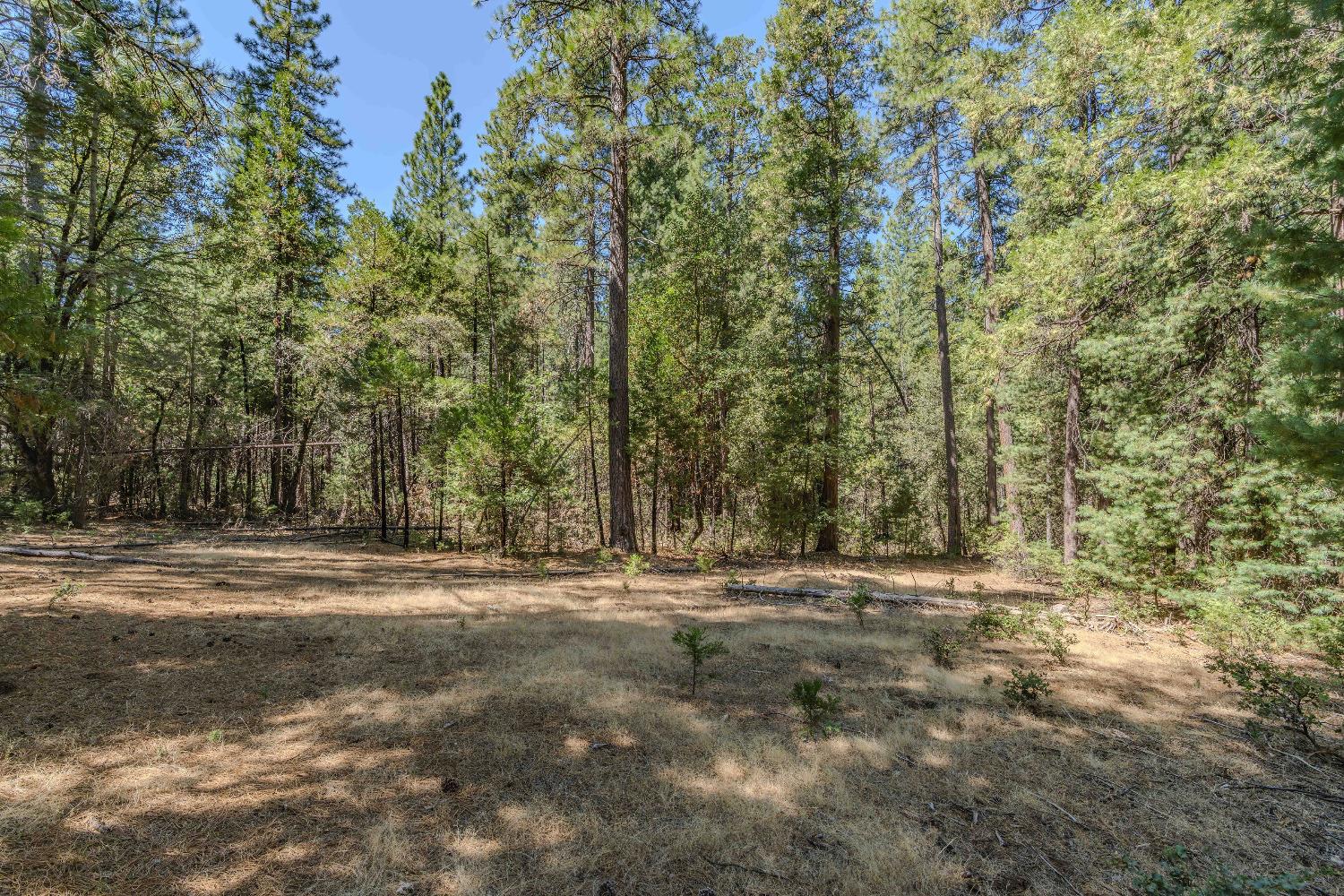 Detail Gallery Image 16 of 35 For 19375 Cherokee Ln, Volcano,  CA 95689 - – Beds | – Baths