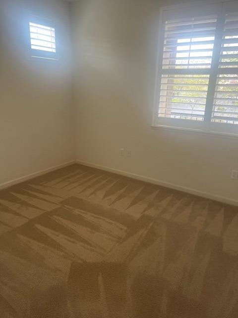 Photo #6: 225065765 Listing: Photo #6