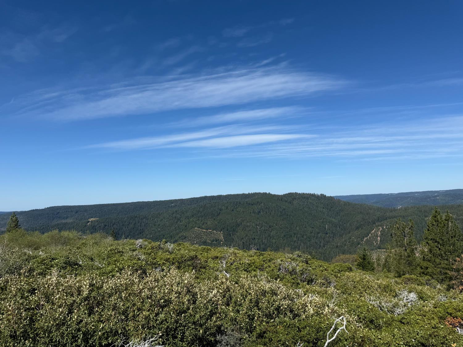 Detail Gallery Image 19 of 35 For 0 Ancho Mine Rd (Lot-1), Nevada City,  CA 95959 - – Beds | – Baths