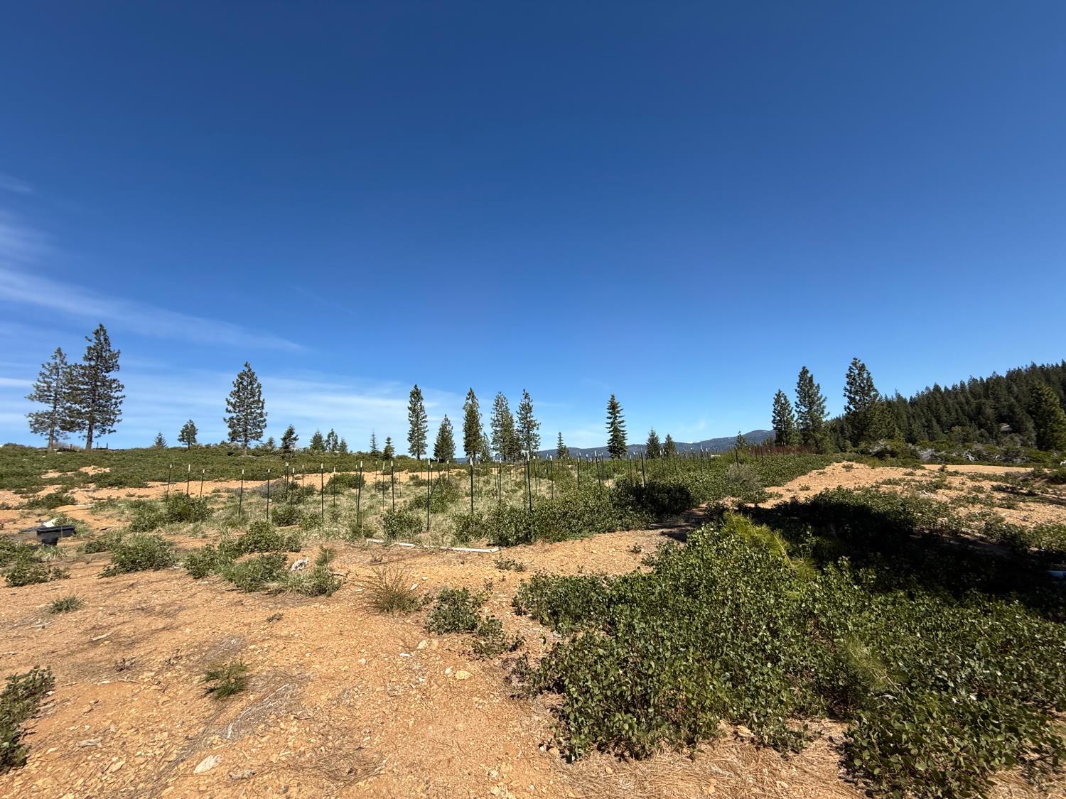 Detail Gallery Image 25 of 35 For 0 Ancho Mine Rd (Lot-1), Nevada City,  CA 95959 - – Beds | – Baths