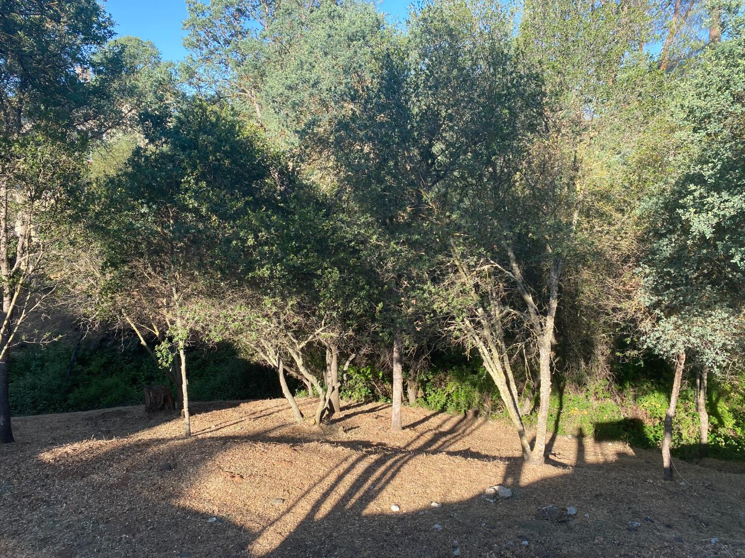 Detail Gallery Image 22 of 23 For 108 Poker Flat Rd, Copperopolis,  CA 95228 - – Beds | – Baths