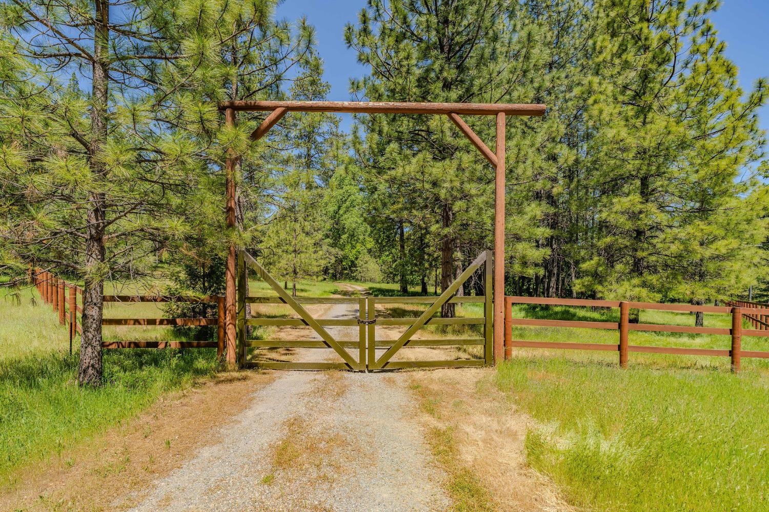 Detail Gallery Image 13 of 98 For 211 Fox Rd, Glencoe,  CA 95232 - 3 Beds | 2 Baths