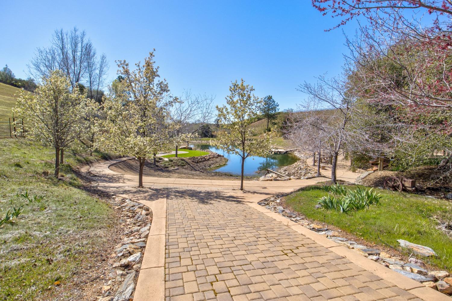 Detail Gallery Image 20 of 90 For 7005 Mountain Ranch Rd, Mountain Ranch,  CA 95246 - – Beds | – Baths