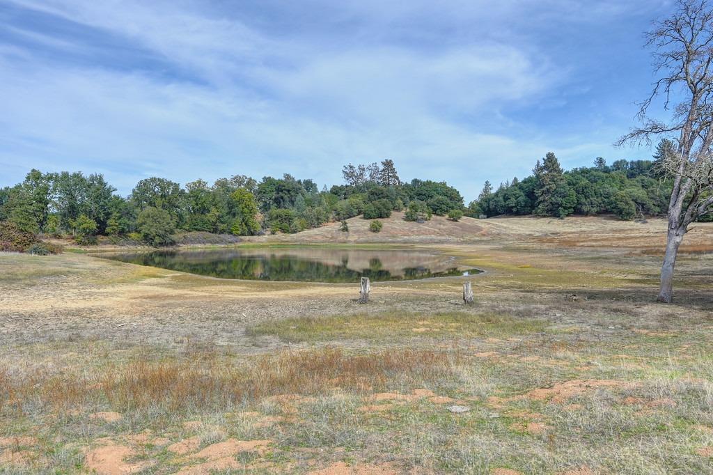 Detail Gallery Image 4 of 50 For 5520 Mother Lode Dr, Placerville,  CA 95667 - – Beds | – Baths