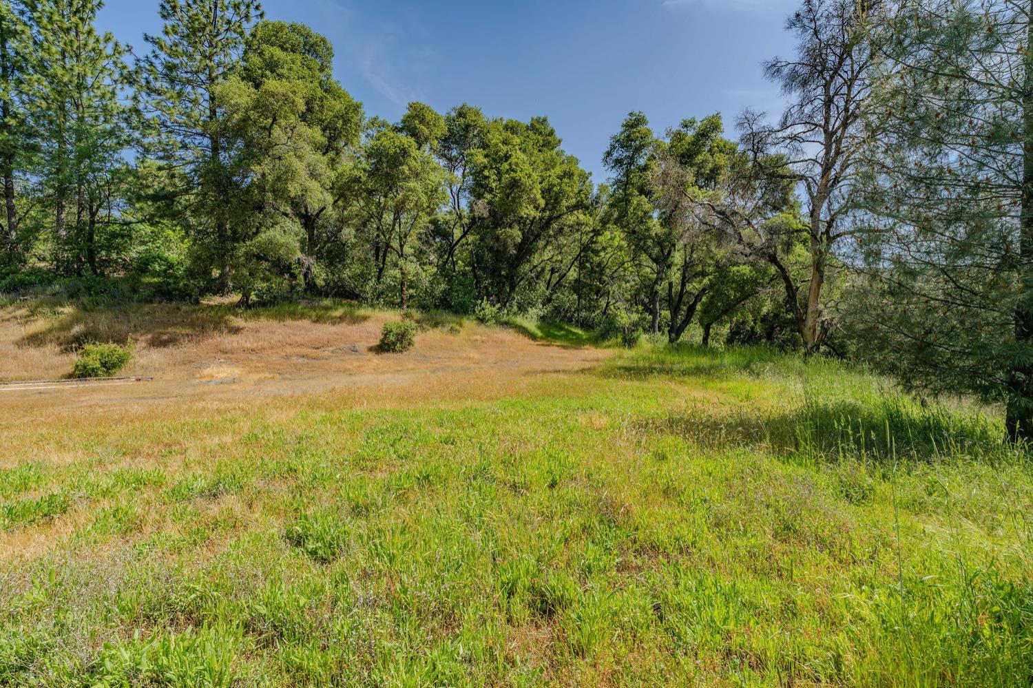Detail Gallery Image 30 of 80 For 20651 Bertone Rd, Fiddletown,  CA 95629 - – Beds | – Baths