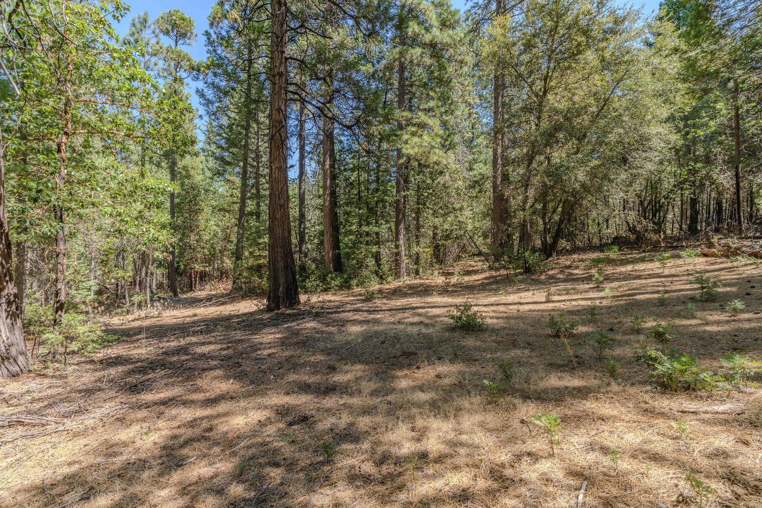 Detail Gallery Image 15 of 35 For 19375 Cherokee Ln, Volcano,  CA 95689 - – Beds | – Baths
