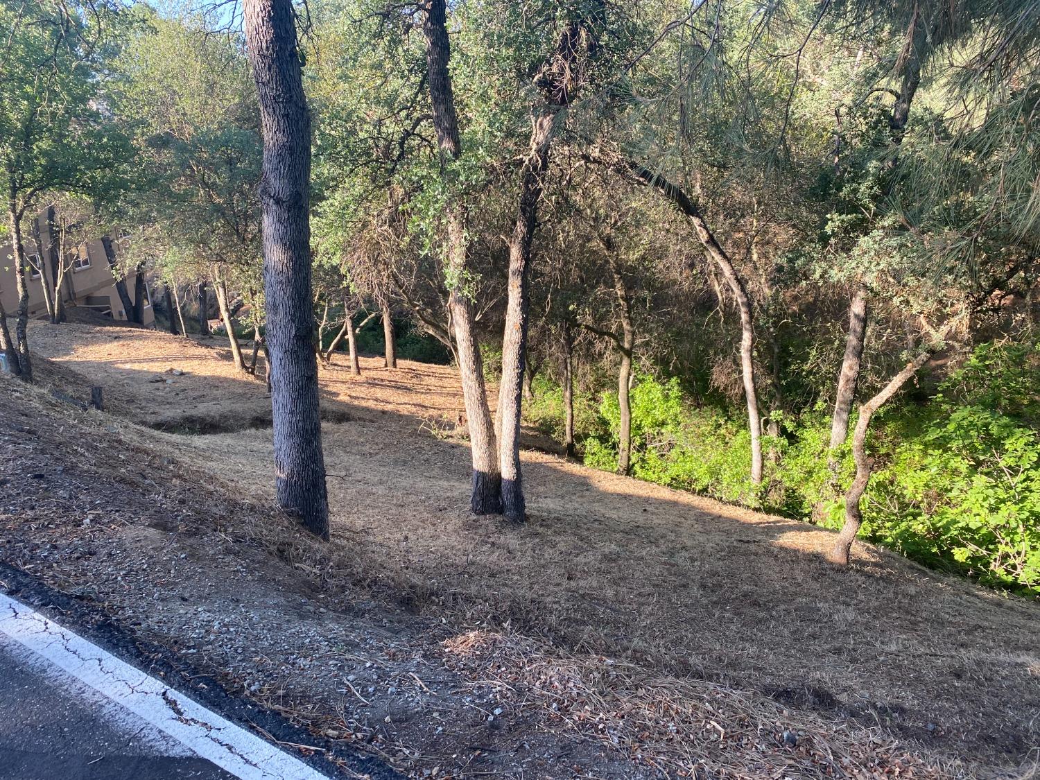 Detail Gallery Image 5 of 23 For 108 Poker Flat Rd, Copperopolis,  CA 95228 - – Beds | – Baths