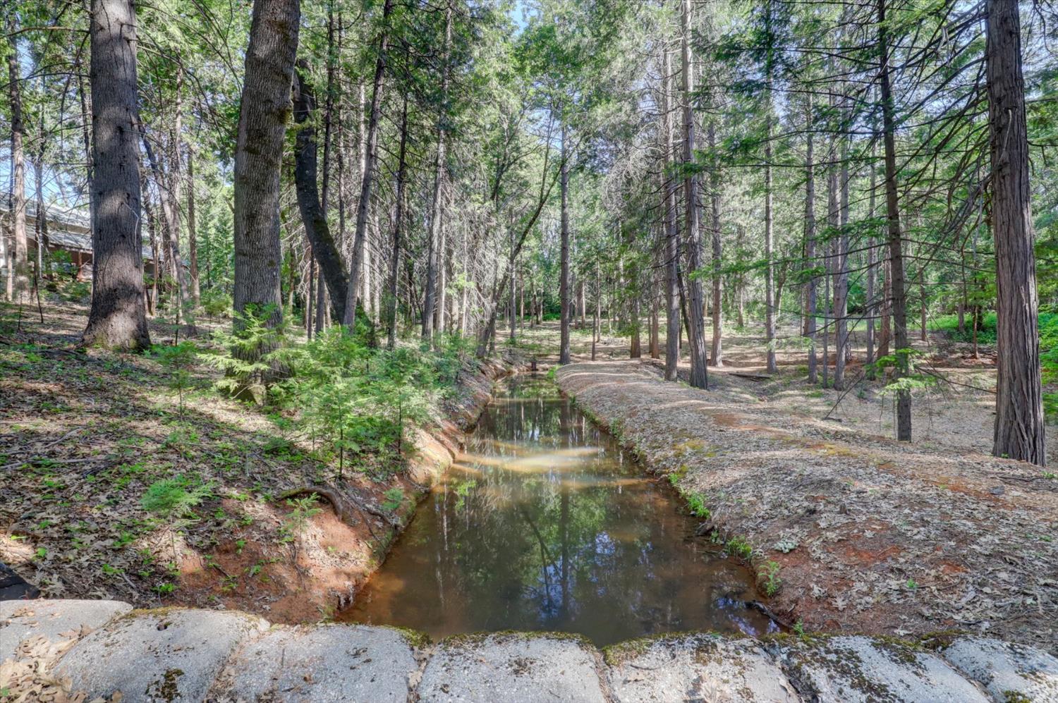 Detail Gallery Image 62 of 99 For 13459 Bass Trail, Grass Valley,  CA 95945 - 4 Beds | 3 Baths