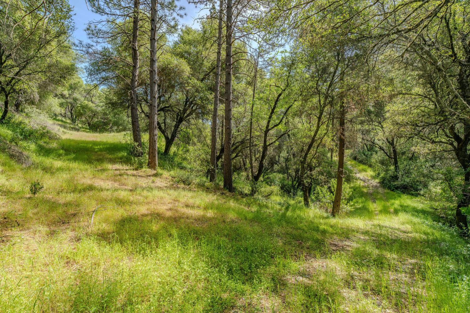 Detail Gallery Image 15 of 80 For 20651 Bertone Rd, Fiddletown,  CA 95629 - – Beds | – Baths