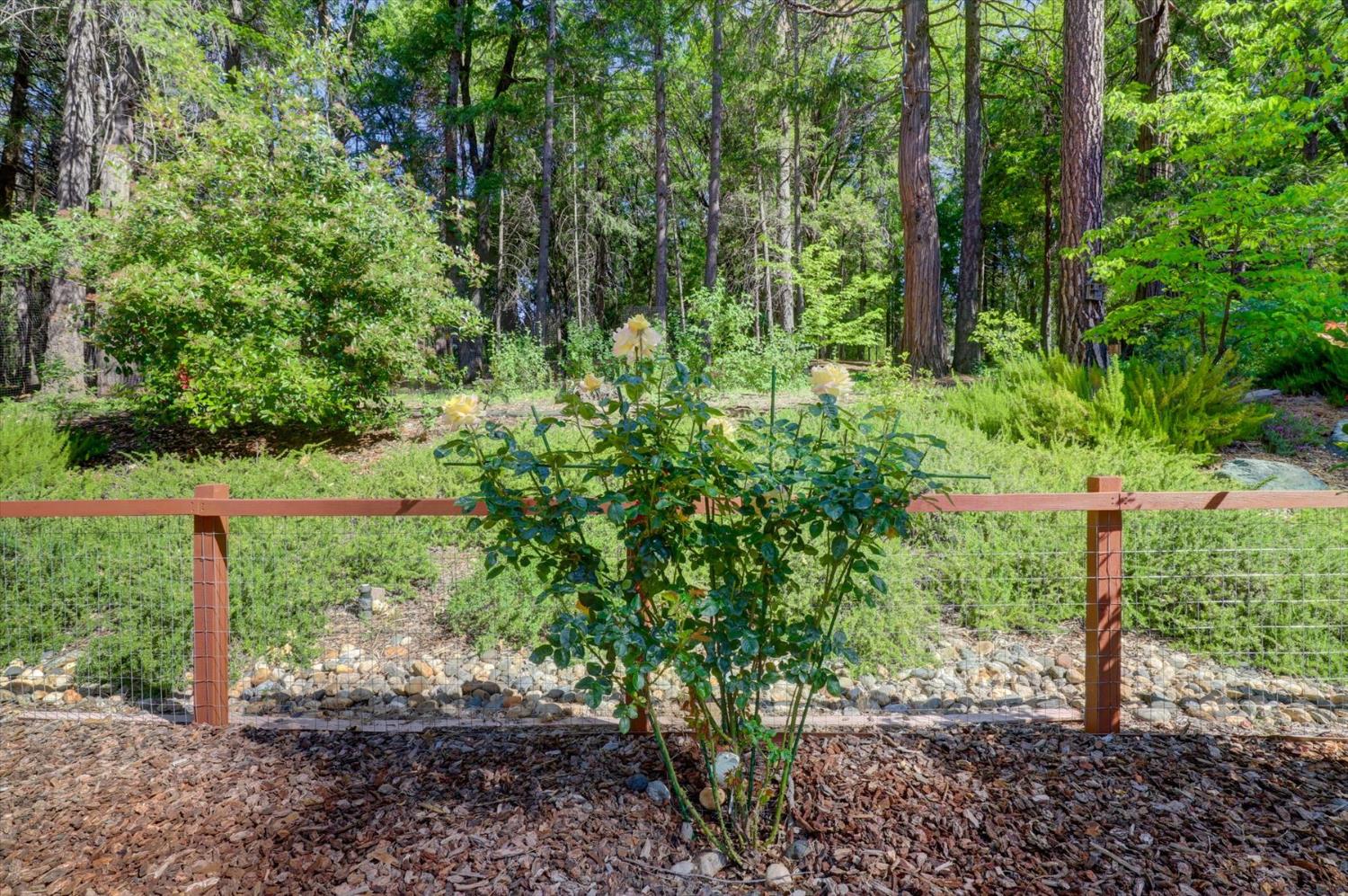 Detail Gallery Image 80 of 99 For 13459 Bass Trail, Grass Valley,  CA 95945 - 4 Beds | 3 Baths