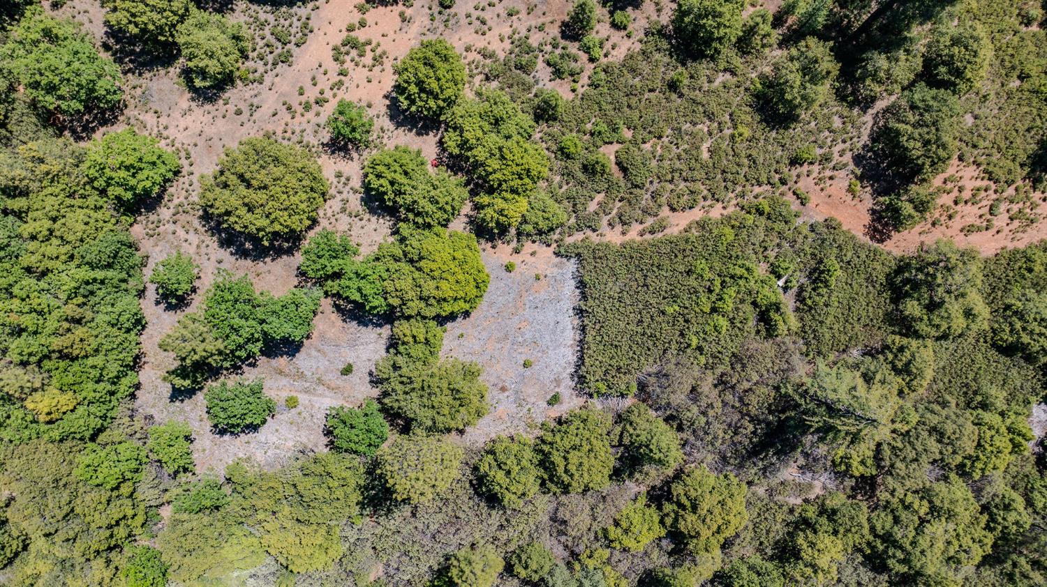 Detail Gallery Image 91 of 98 For 211 Fox Rd, Glencoe,  CA 95232 - 3 Beds | 2 Baths