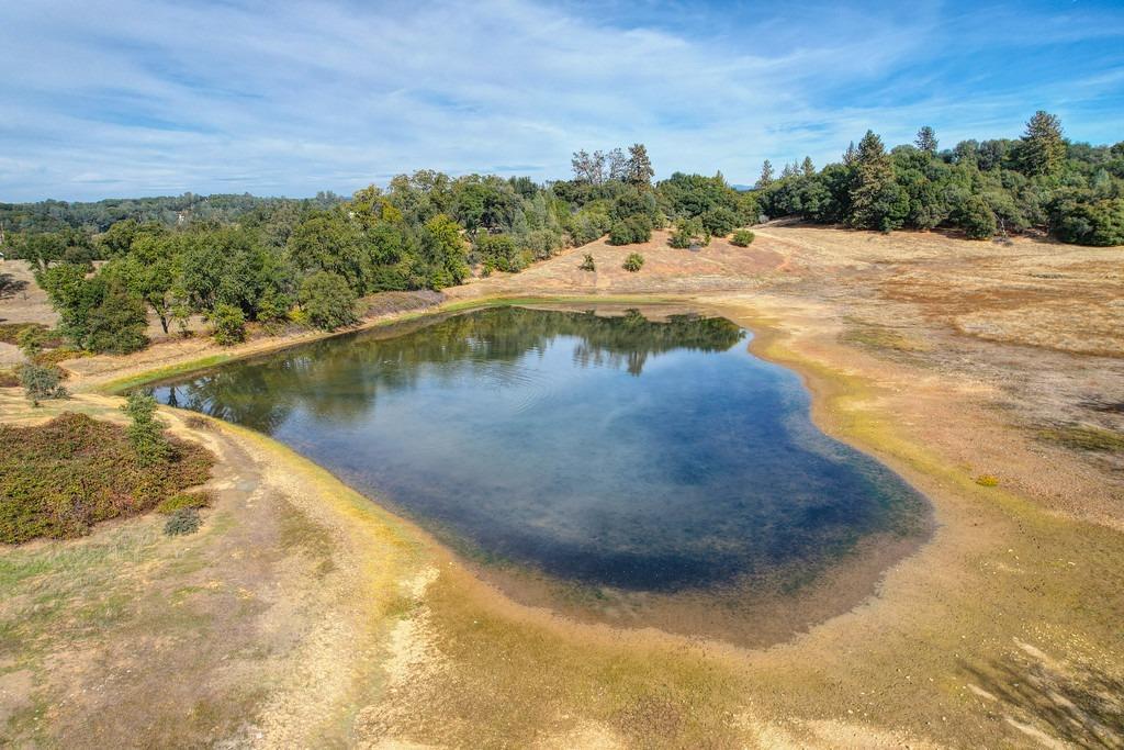 Detail Gallery Image 1 of 50 For 5520 Mother Lode Dr, Placerville,  CA 95667 - – Beds | – Baths