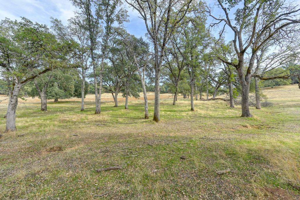 Detail Gallery Image 1 of 8 For 2 Shinn Ranch Rd, Placerville,  CA 95667 - – Beds | – Baths