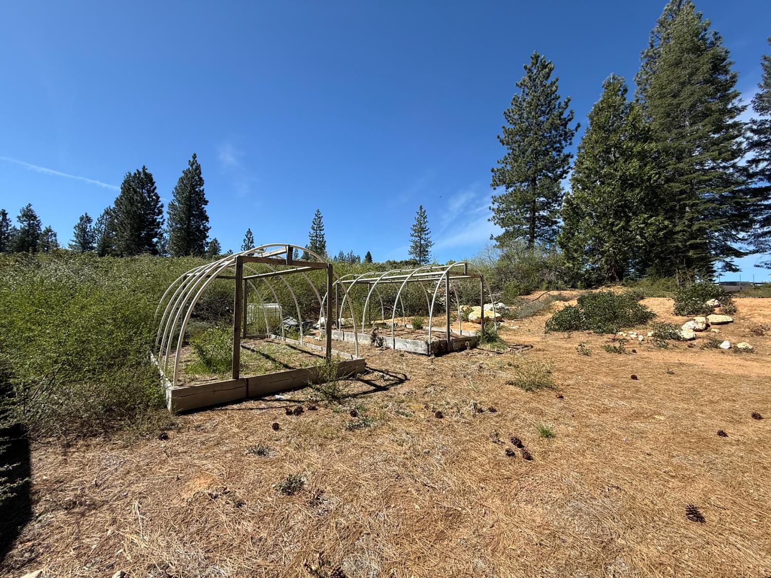 Detail Gallery Image 14 of 35 For 0 Ancho Mine Rd (Lot-1), Nevada City,  CA 95959 - – Beds | – Baths