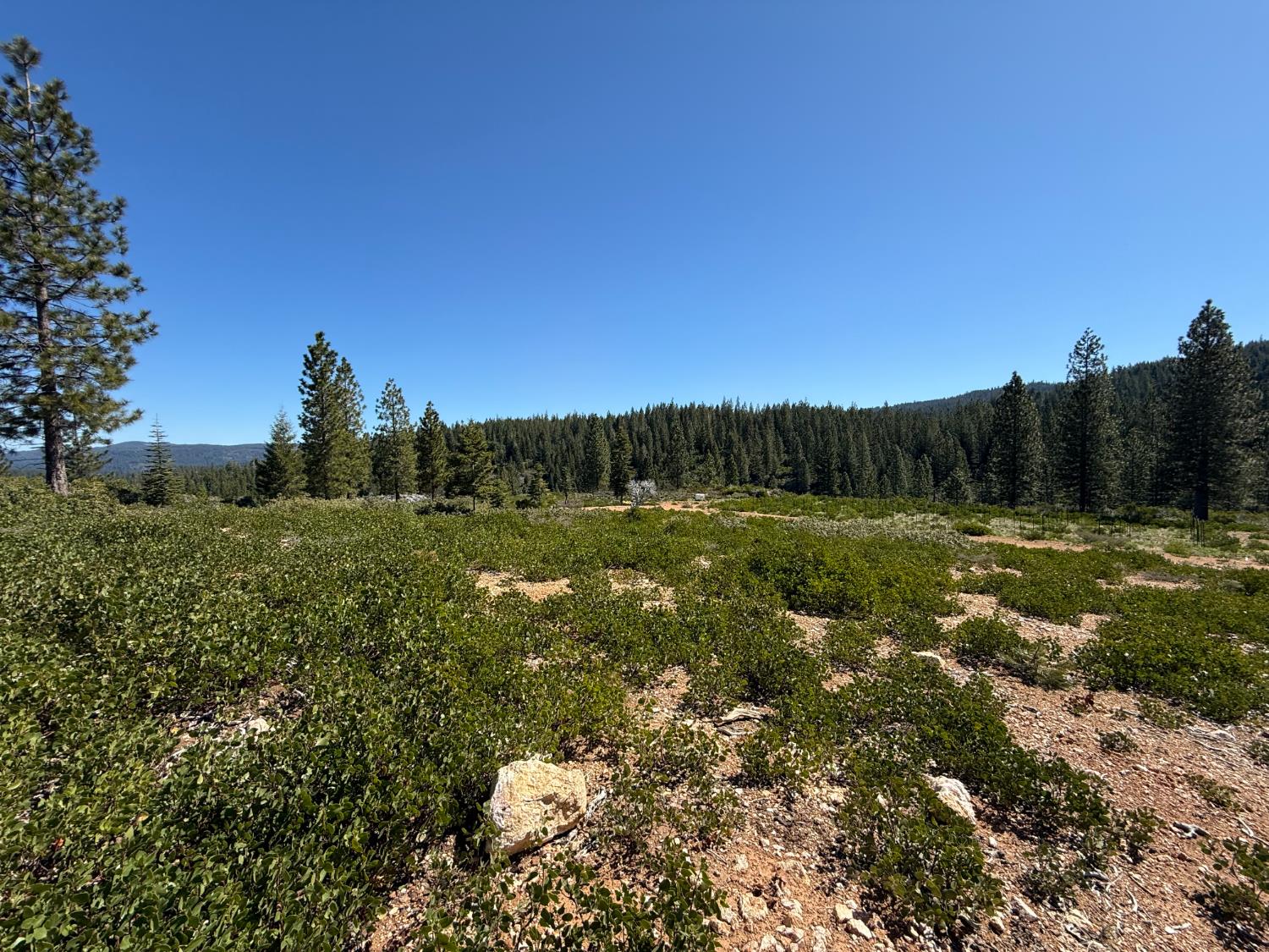 Detail Gallery Image 17 of 35 For 0 Ancho Mine Rd (Lot-1), Nevada City,  CA 95959 - – Beds | – Baths