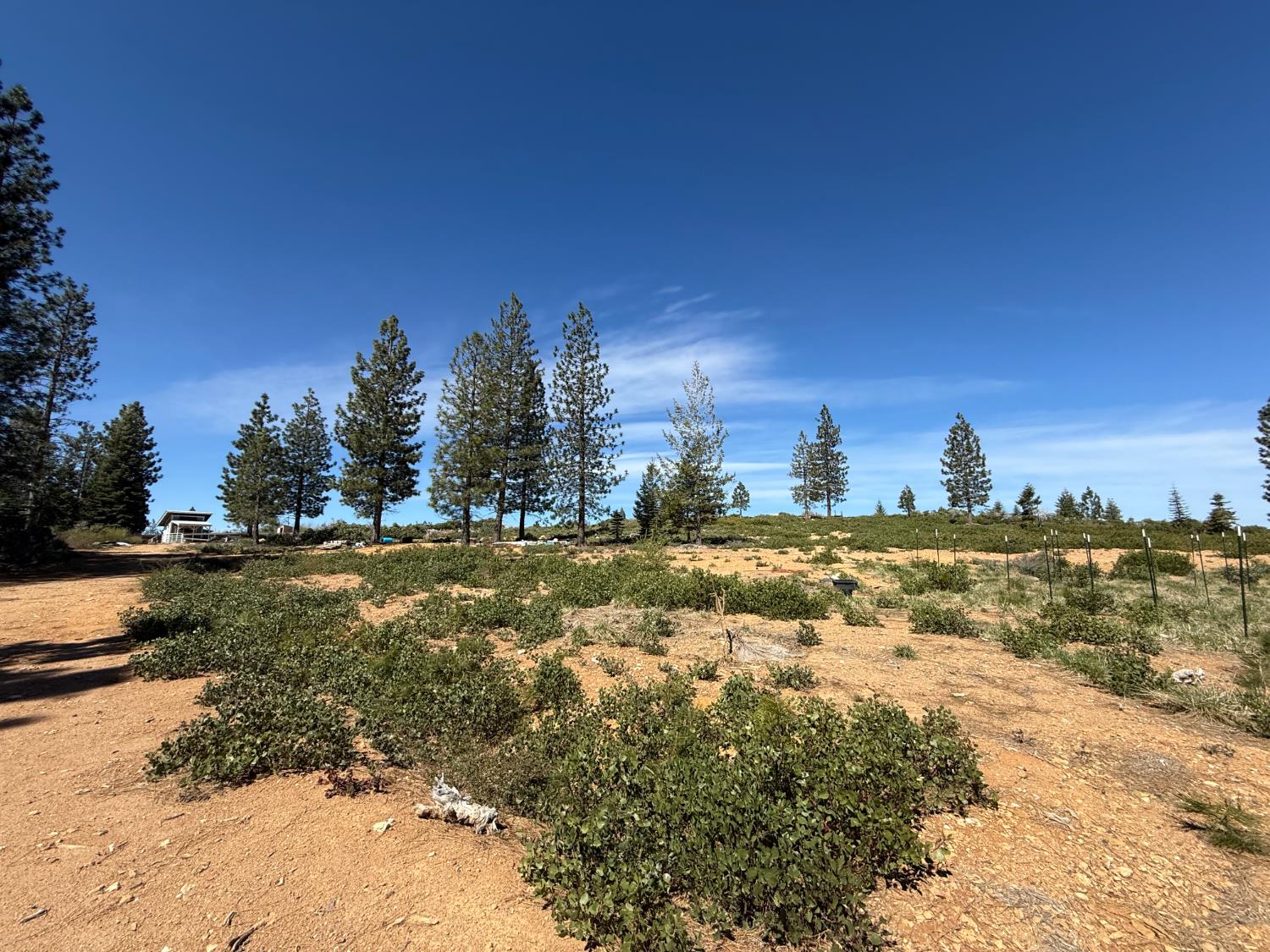 Detail Gallery Image 11 of 35 For 0 Ancho Mine Rd (Lot-1), Nevada City,  CA 95959 - – Beds | – Baths