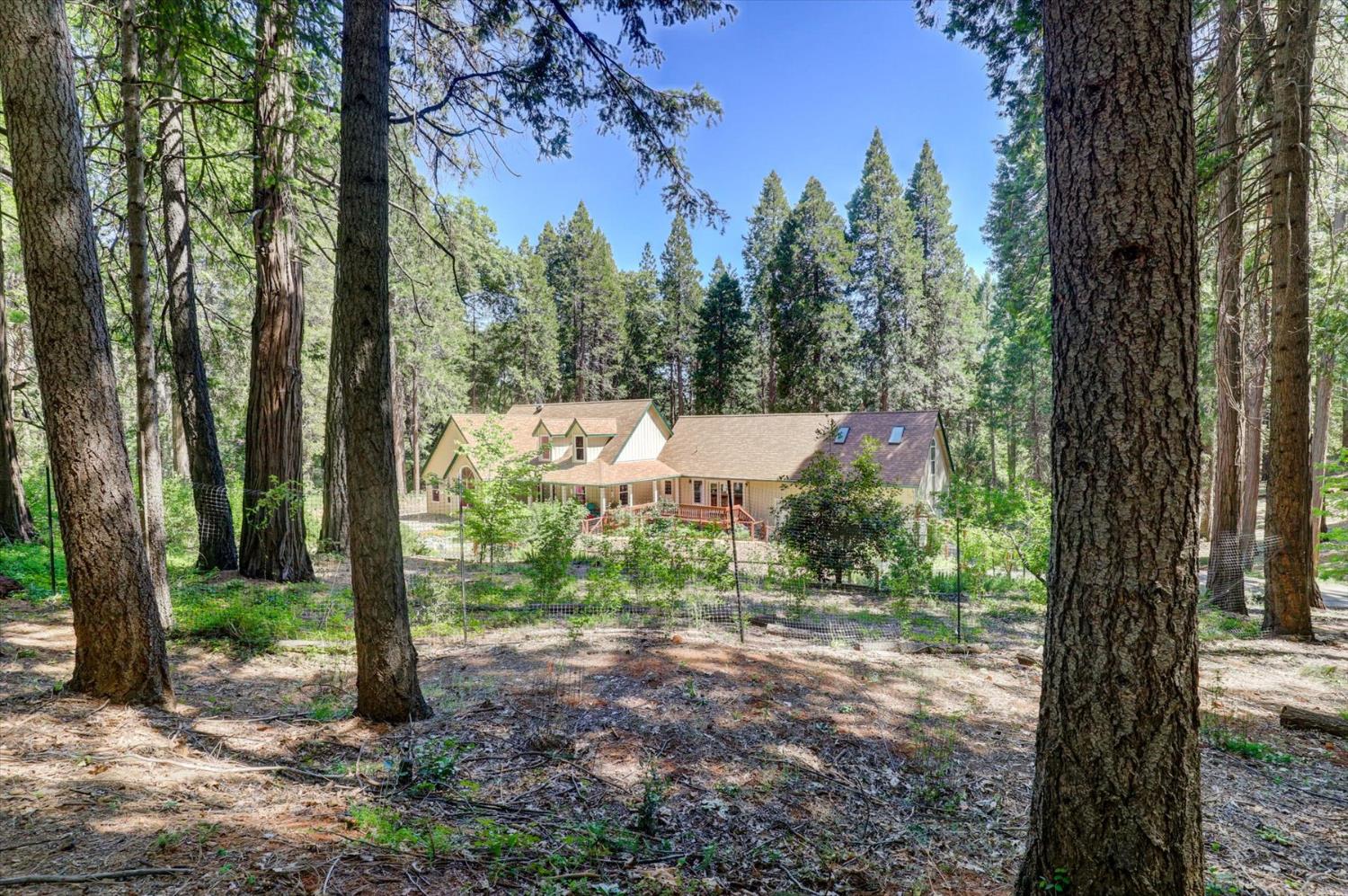 Detail Gallery Image 54 of 99 For 13459 Bass Trail, Grass Valley,  CA 95945 - 4 Beds | 3 Baths