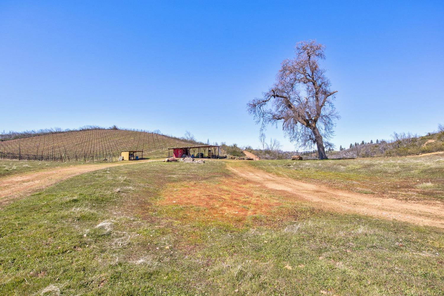 Detail Gallery Image 42 of 90 For 7005 Mountain Ranch Rd, Mountain Ranch,  CA 95246 - – Beds | – Baths