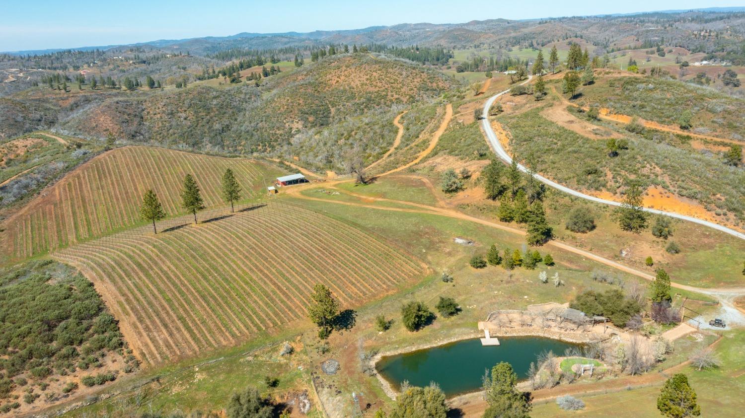 Detail Gallery Image 76 of 90 For 7005 Mountain Ranch Rd, Mountain Ranch,  CA 95246 - – Beds | – Baths