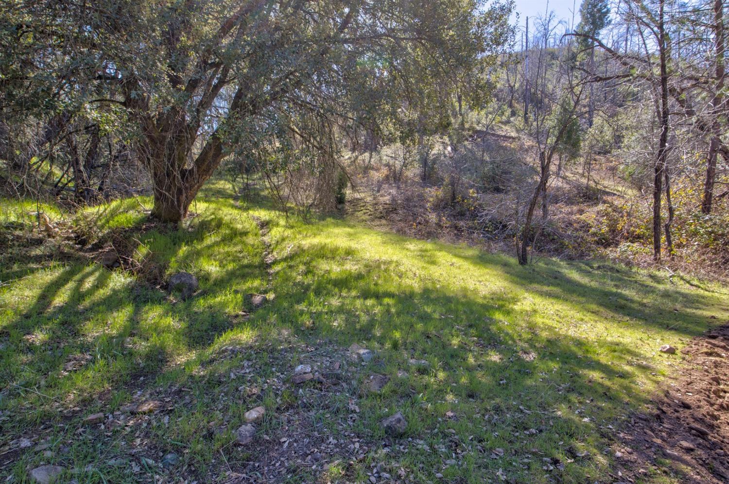 Detail Gallery Image 60 of 90 For 7005 Mountain Ranch Rd, Mountain Ranch,  CA 95246 - – Beds | – Baths