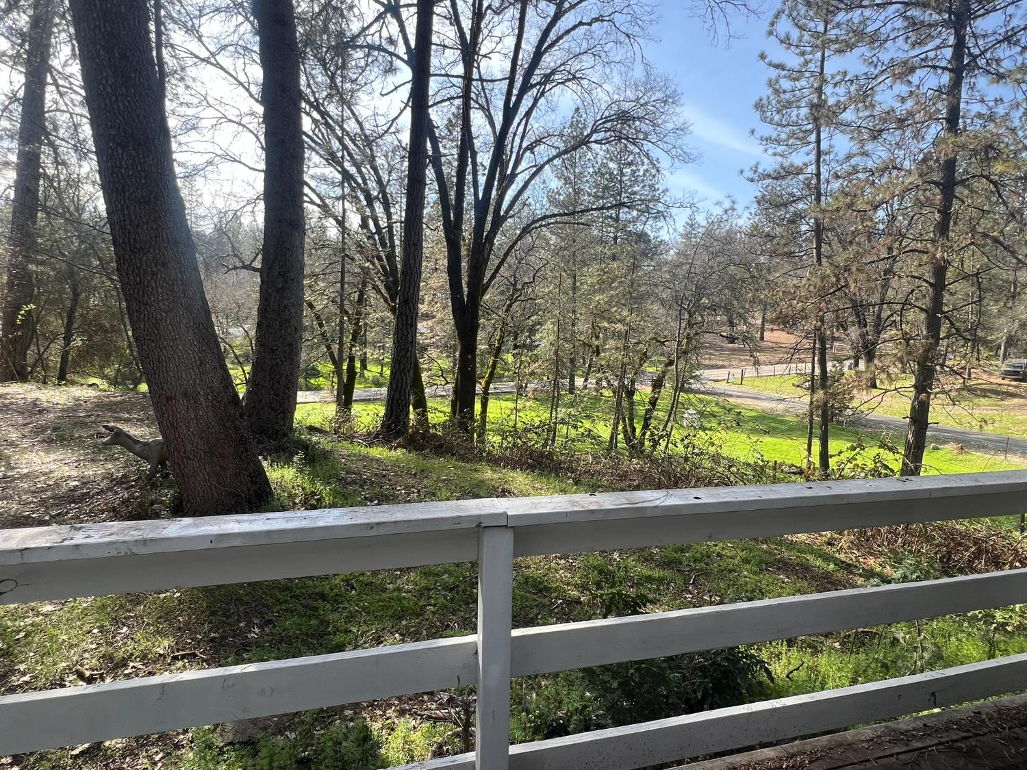 Combie Road, Meadow Vista, California image 35