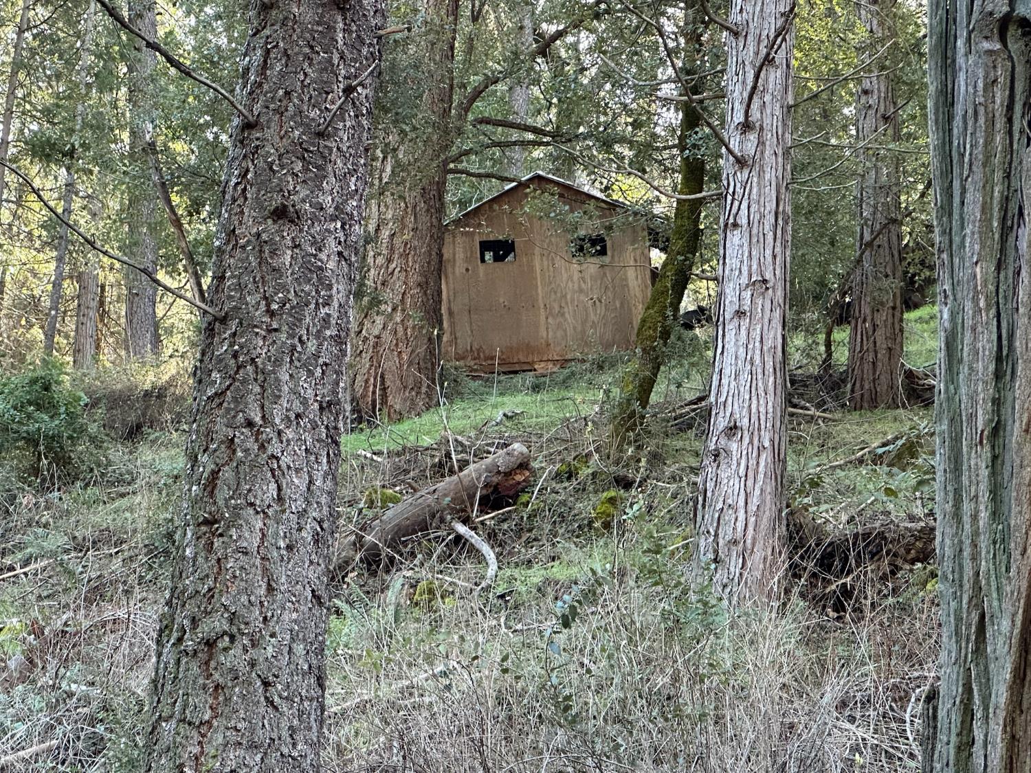 Detail Gallery Image 7 of 13 For 0 Ne Treasure Rock Ln, Placerville,  CA 95667 - – Beds | – Baths