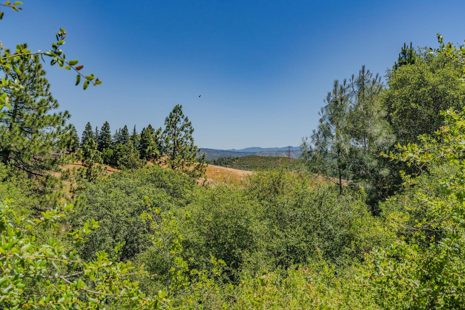 Detail Gallery Image 40 of 61 For 6816 Italian Vista Ct, Mokelumne Hill,  CA 95245 - 3 Beds | 2 Baths