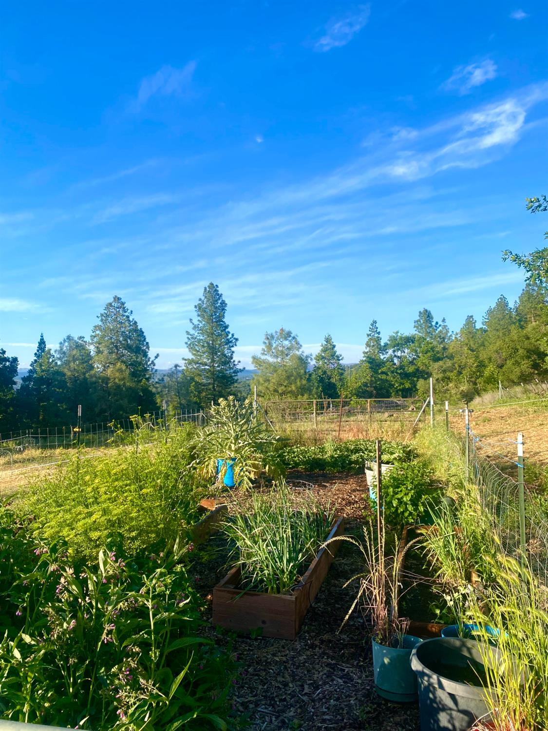 Detail Gallery Image 50 of 52 For 4405 Coyote Ridge Rd, Somerset,  CA 95684 - 3 Beds | 2 Baths