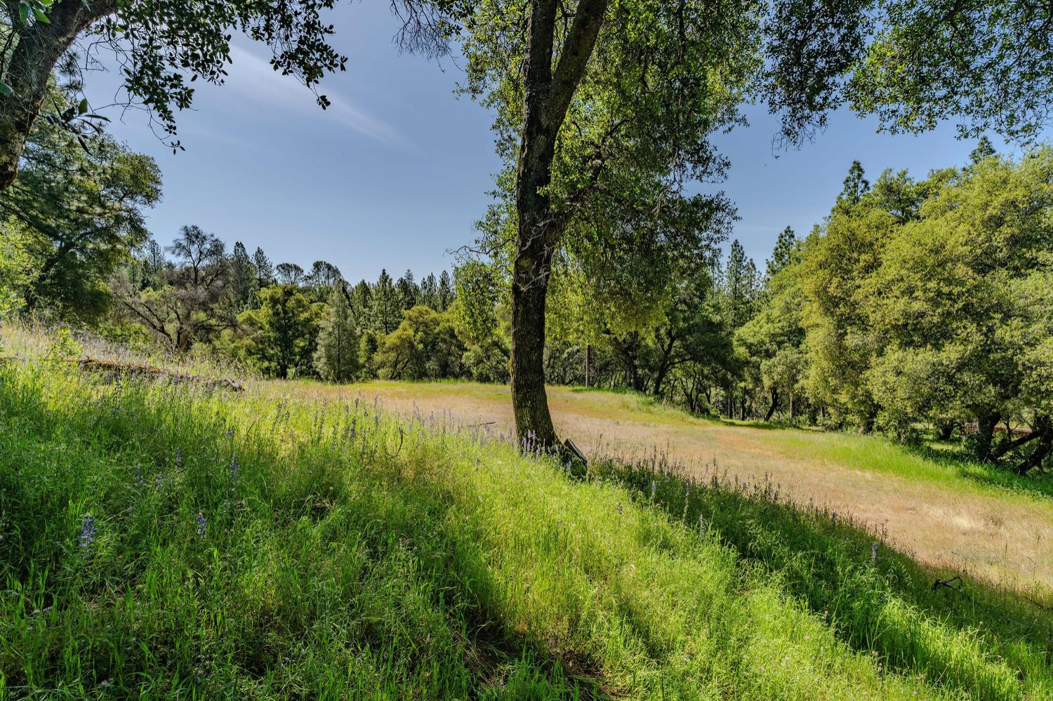 Detail Gallery Image 39 of 80 For 20651 Bertone Rd, Fiddletown,  CA 95629 - – Beds | – Baths