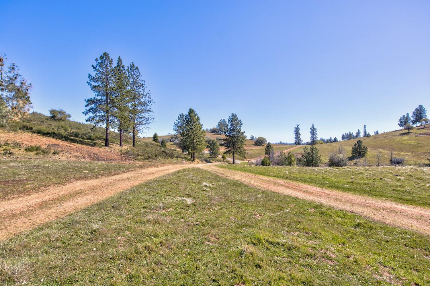 Detail Gallery Image 41 of 90 For 7005 Mountain Ranch Rd, Mountain Ranch,  CA 95246 - – Beds | – Baths