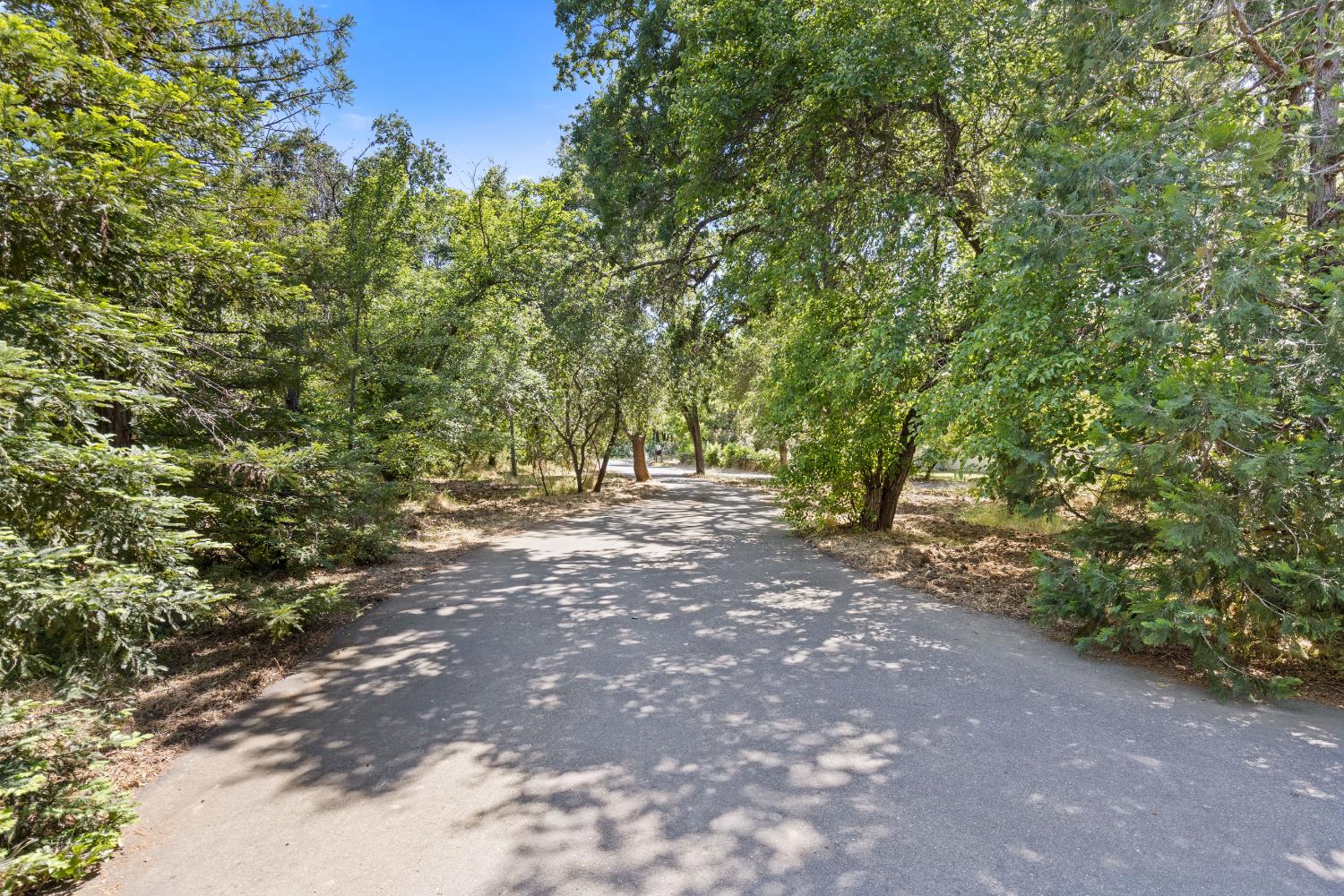 Detail Gallery Image 52 of 59 For 7705 Horseshoe Bar Rd, Loomis,  CA 95650 - 3 Beds | 2 Baths