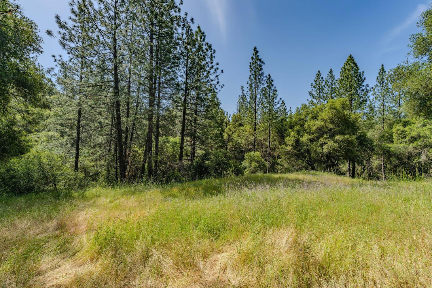 Detail Gallery Image 18 of 80 For 20651 Bertone Rd, Fiddletown,  CA 95629 - – Beds | – Baths