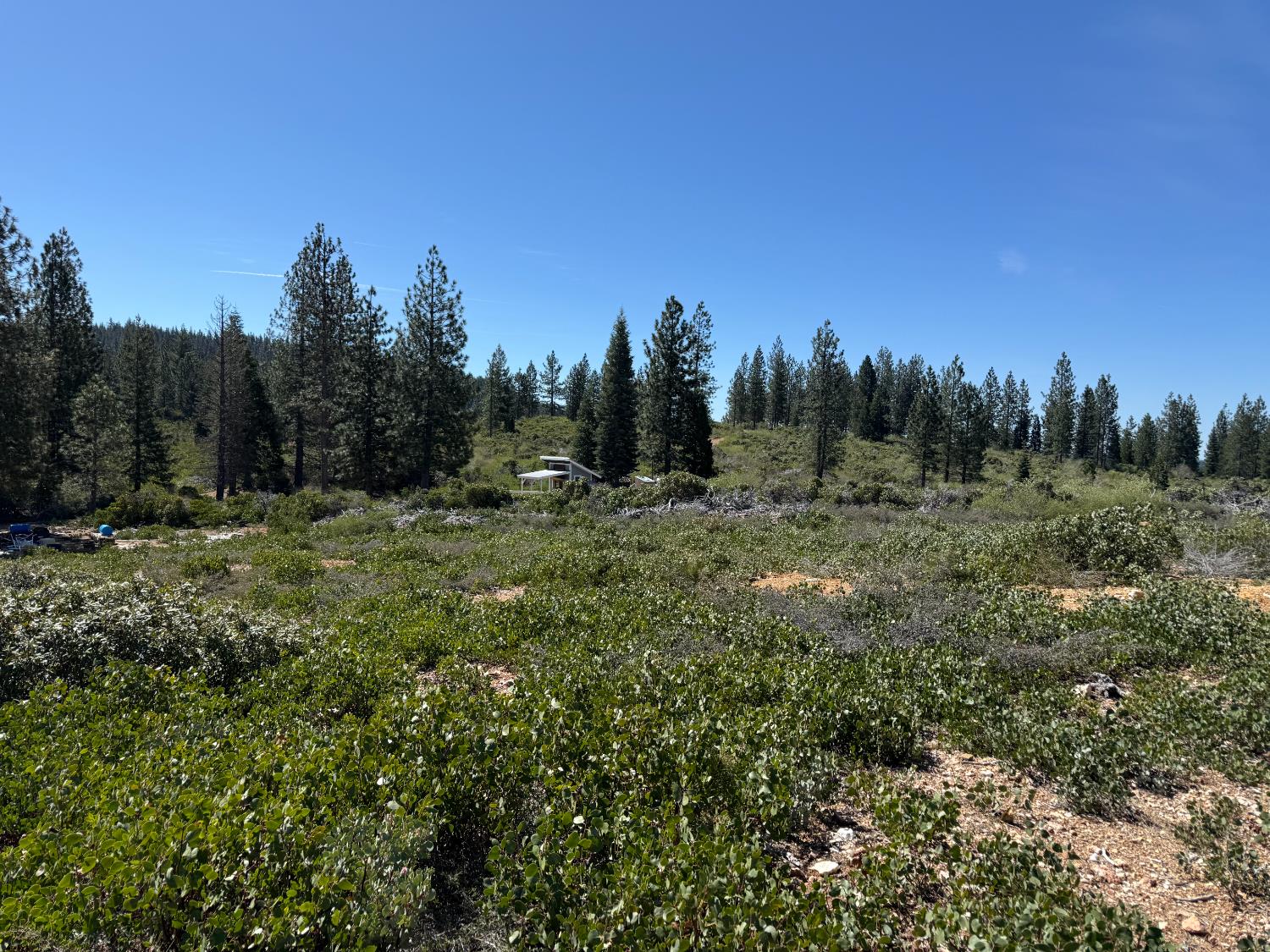 Detail Gallery Image 18 of 35 For 0 Ancho Mine Rd (Lot-1), Nevada City,  CA 95959 - – Beds | – Baths