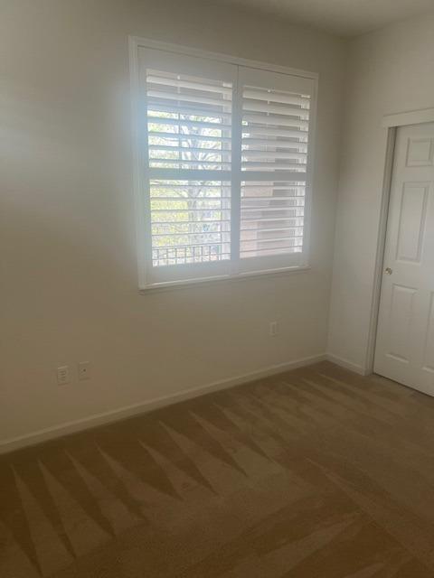 Photo #7: 225065765 Listing: Photo #7