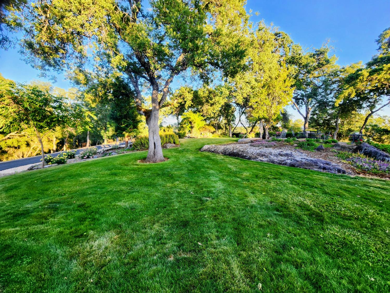 Detail Gallery Image 76 of 83 For 5001 Mourning Dove Ln, Shingle Springs,  CA 95682 - 4 Beds | 3/1 Baths