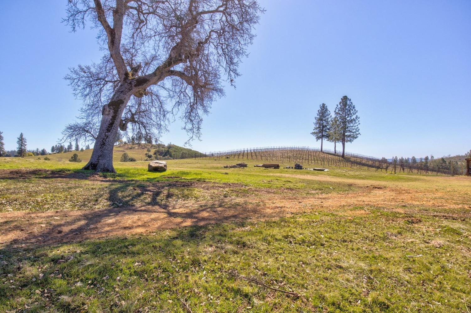 Detail Gallery Image 43 of 90 For 7005 Mountain Ranch Rd, Mountain Ranch,  CA 95246 - – Beds | – Baths