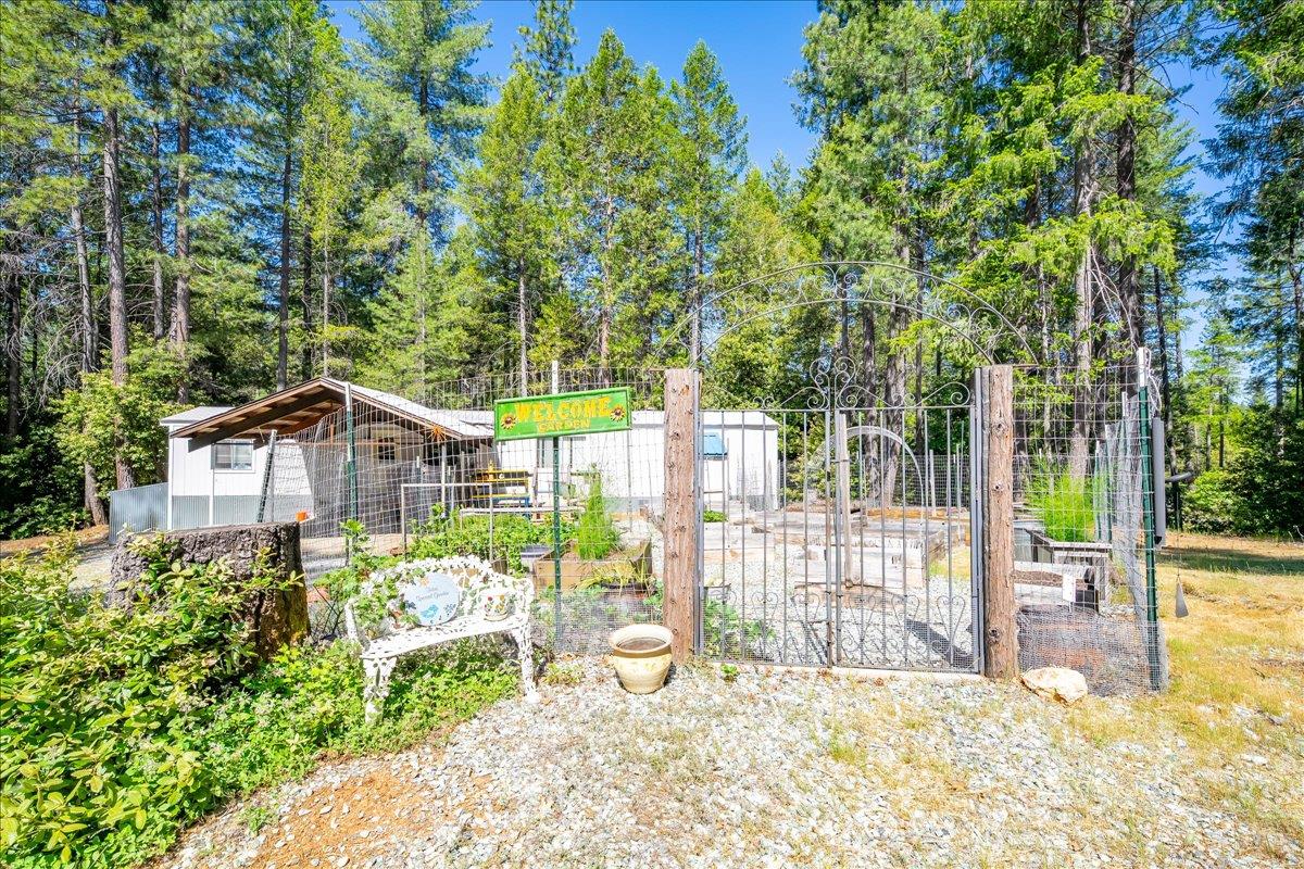 Detail Gallery Image 60 of 70 For 9131 Country Rd, Georgetown,  CA 95634 - 3 Beds | 2 Baths
