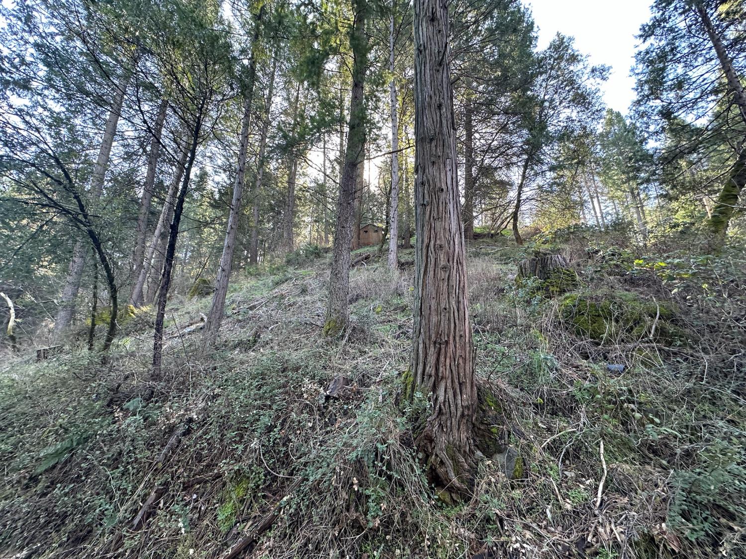 Detail Gallery Image 6 of 13 For 0 Ne Treasure Rock Ln, Placerville,  CA 95667 - – Beds | – Baths