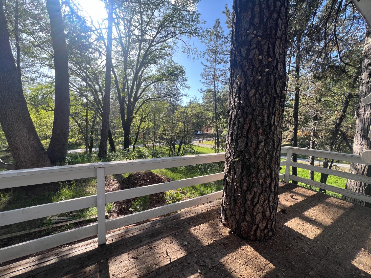 Combie Road, Meadow Vista, California image 6