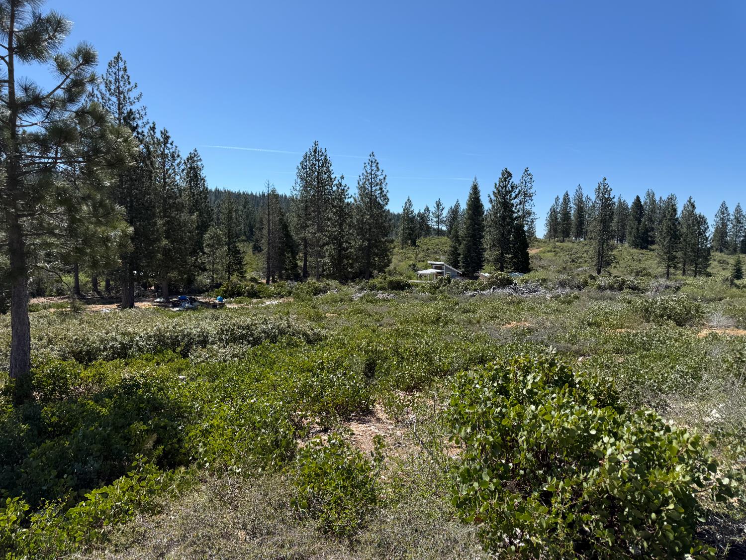Detail Gallery Image 20 of 35 For 0 Ancho Mine Rd (Lot-1), Nevada City,  CA 95959 - – Beds | – Baths