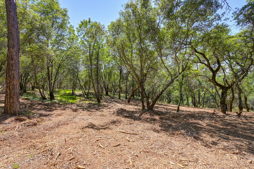 Detail Gallery Image 12 of 50 For 10650 Werner Rd, Auburn,  CA 95603 - – Beds | – Baths