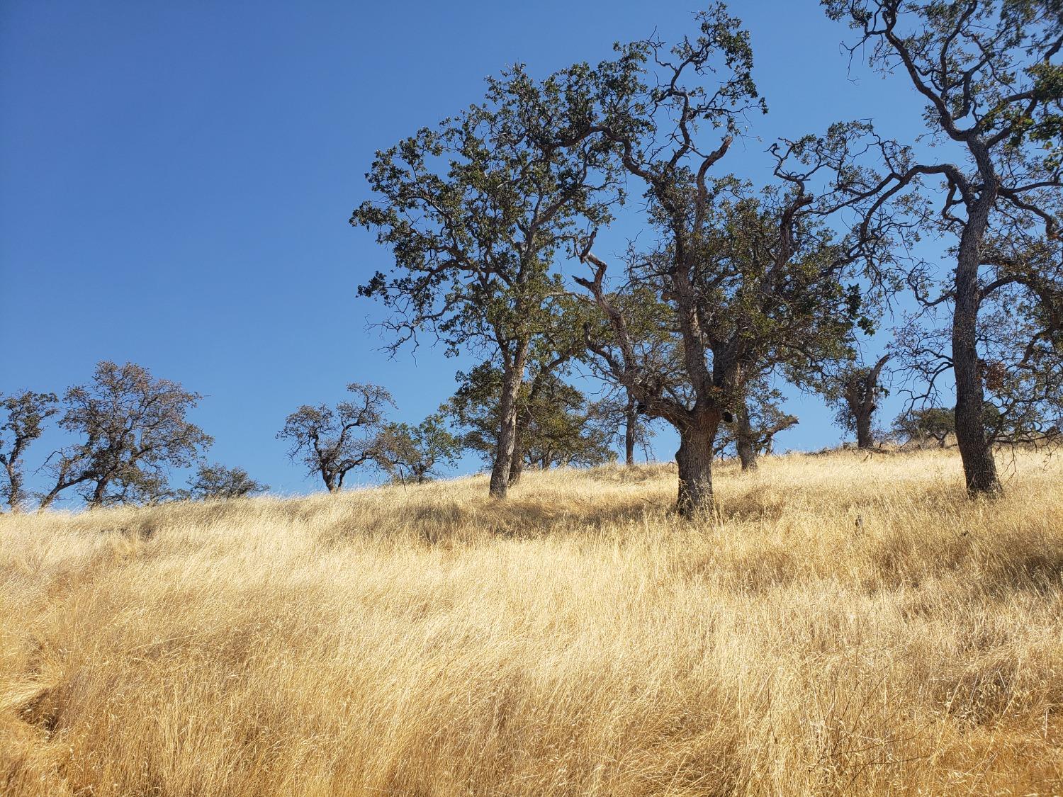 Caracol Circle, La Grange, California image 3