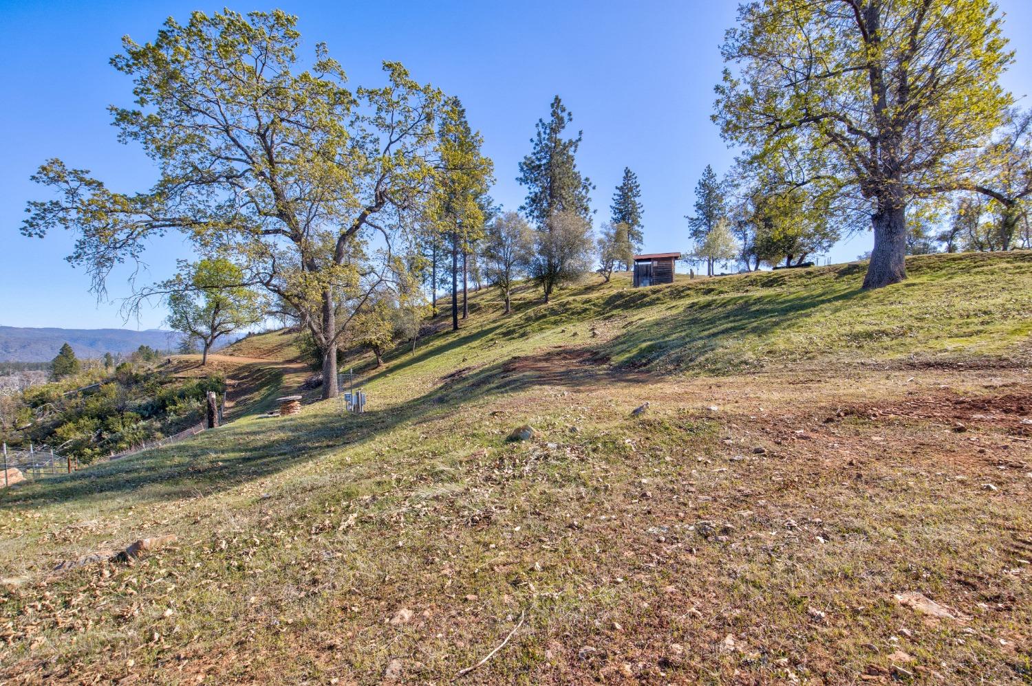 Detail Gallery Image 52 of 90 For 7005 Mountain Ranch Rd, Mountain Ranch,  CA 95246 - – Beds | – Baths