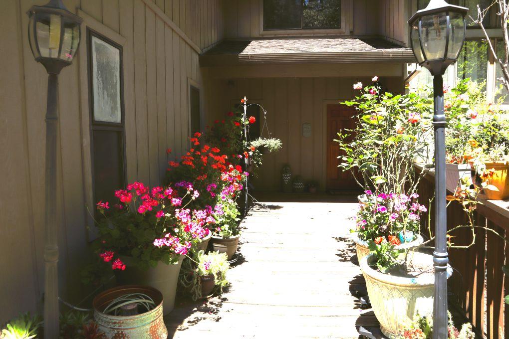 Detail Gallery Image 2 of 90 For 430 Hillside Dr, Applegate,  CA 95703 - 3 Beds | 2 Baths