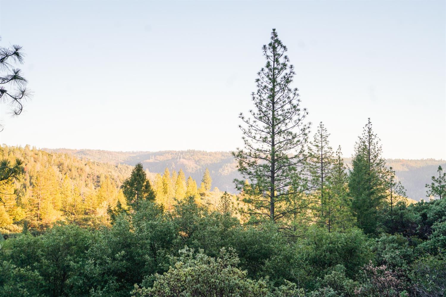 Detail Gallery Image 7 of 15 For 9220 Mule Skinner Rd, Placerville,  CA 95667 - – Beds | – Baths