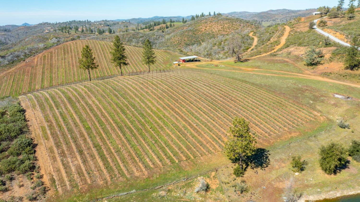 Detail Gallery Image 77 of 90 For 7005 Mountain Ranch Rd, Mountain Ranch,  CA 95246 - – Beds | – Baths