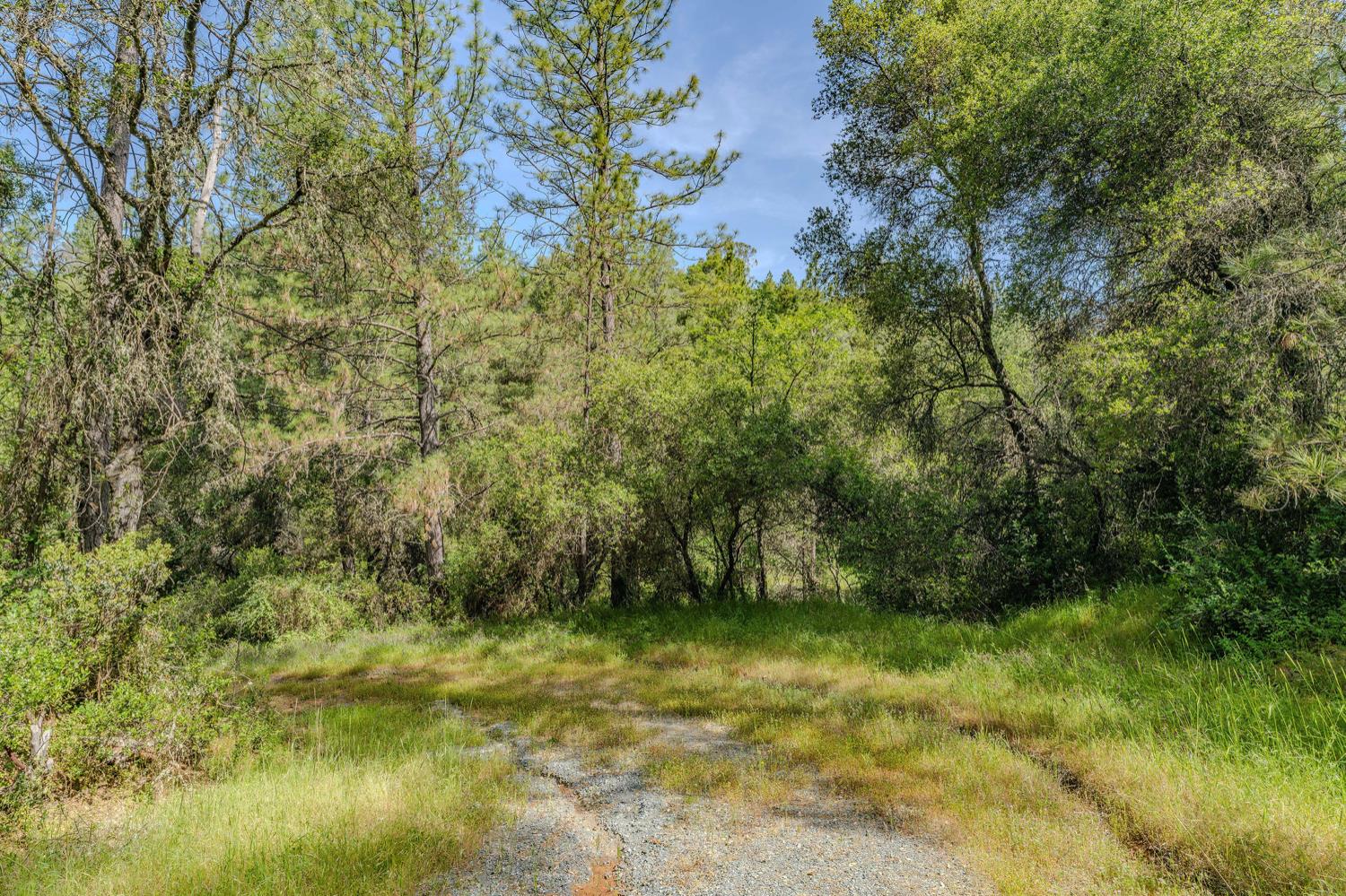 Detail Gallery Image 6 of 80 For 20651 Bertone Rd, Fiddletown,  CA 95629 - – Beds | – Baths