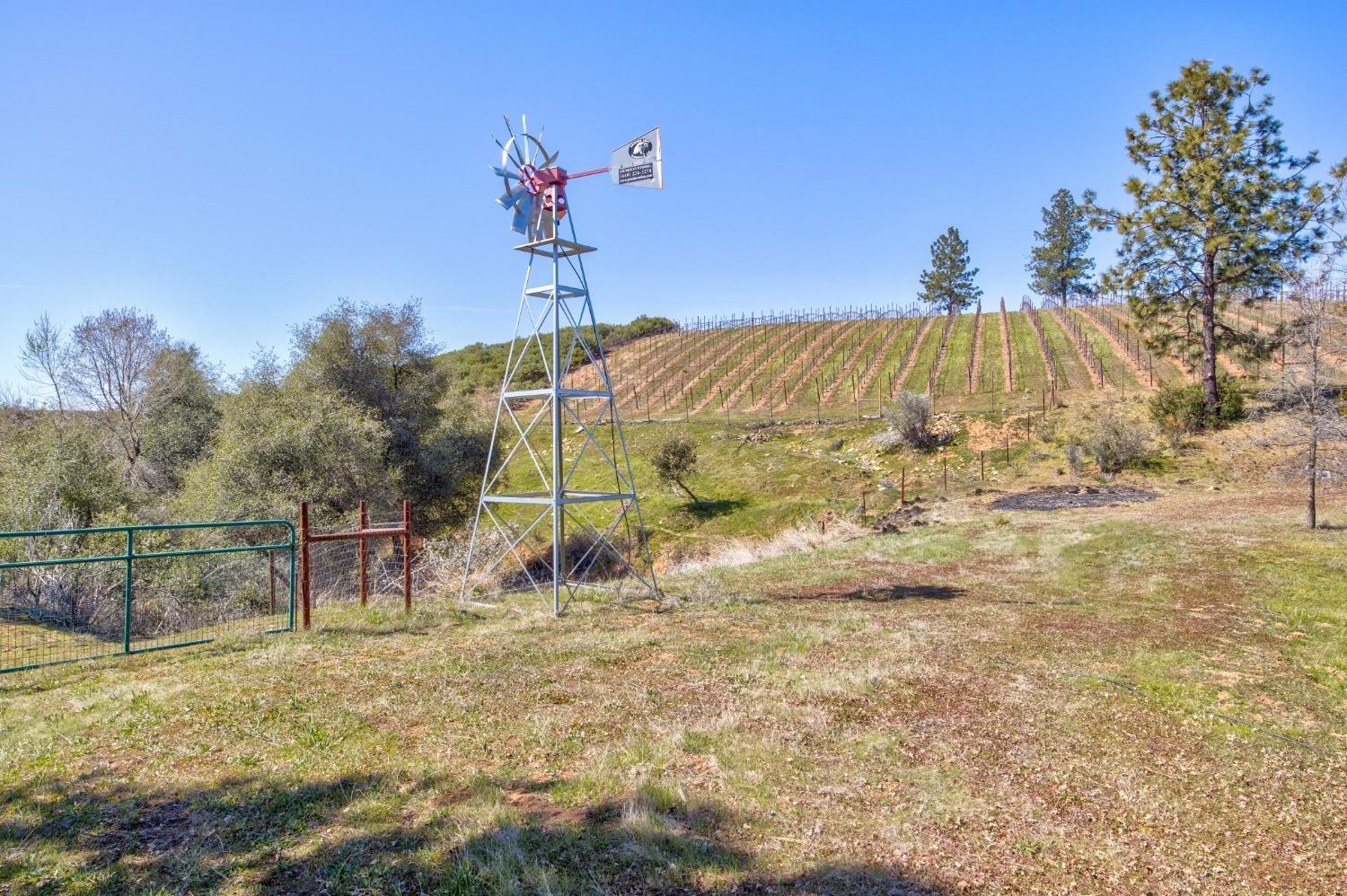 Detail Gallery Image 38 of 90 For 7005 Mountain Ranch Rd, Mountain Ranch,  CA 95246 - – Beds | – Baths